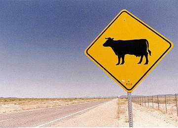 SE策略RPG新作《神领编年史》 将于7月2日公开最新情报